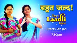 Teri Laadli Main Teri Laadli Main