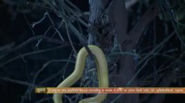Naagin (Colors tv) S01E26 31st January 2016 Full Episode