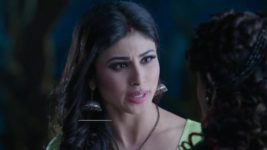 Naagin (Colors tv) S01E31 20th February 2016 Full Episode