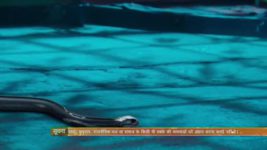 Naagin (Colors tv) S01E36 6th March 2016 Full Episode
