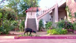 Thapki Pyar Ki S01E213 25th January 2016 Full Episode