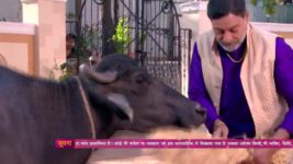 Thapki Pyar Ki S01E229 11th February 2016 Full Episode