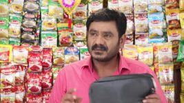 Pandian Stores S01E310 Kathir to Surprise Mulla Full Episode