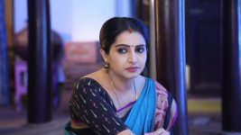 Pandian Stores S01E334 Meena Blames Moorthy, Dhanam Full Episode