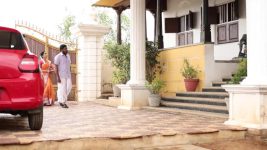 Pandian Stores S01E336 Janardhan Insults Moorthy, Dhanam Full Episode