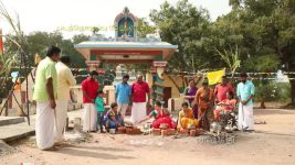 Pandian Stores S01E381 Murugan, Parvathy on Cloud Nine Full Episode
