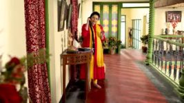 Phagun Bou S01E179 Bibi Tries Her Best Full Episode