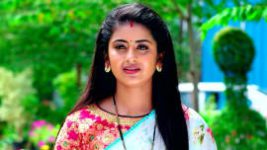 Agnipariksha (Telugu) S01E204 11th June 2022 Full Episode