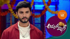 Amrutha Varshini S01E12 28th November 2020 Full Episode