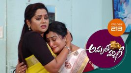 Amrutha Varshini S01E213 9th August 2021 Full Episode