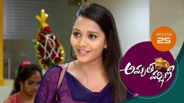 Amrutha Varshini S01E25 14th December 2020 Full Episode
