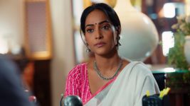 Appnapan Badalate Rishton Ka Bandhan S01E35 Pallavi's Lawyer Full Episode