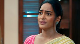 Appnapan Badalate Rishton Ka Bandhan S01E47 Nikhil And Pallavi's Connection Full Episode