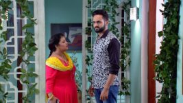 Ardhangini S01E159 Vishnu Meets His Sister Full Episode