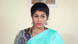 Avalum Naanum S01E113 Swetha Suspects Thiya Full Episode