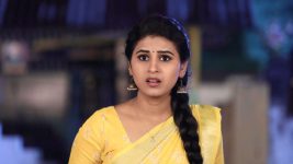 Baakiyalakshmi S01E149 Amrutha Lands in Trouble Full Episode