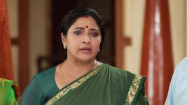 Bharathi Kannamma S01E856 Sivagami In Distress Full Episode