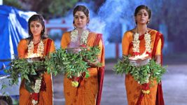 Bharathi Kannamma S01E861 Sandhya in Danger? Full Episode