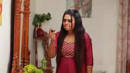Bharathi Kannamma S01E931 Venba's Suicide Attempt Full Episode