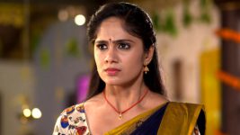 Care of Anasuya S01E151 Shivani Demands Answers Full Episode