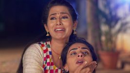 Care of Anasuya S01E161 Shivani, Pavani Stand Helpless Full Episode
