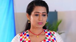 Care of Anasuya S01E165 Good News for Shivani, Pavani Full Episode