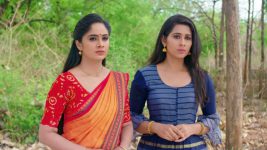 Care of Anasuya S01E195 Shivani and Pavani Get a Warning Full Episode