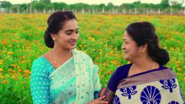 Care of Anasuya S01E212 Chitravathi's Suggestion to Anasu Full Episode
