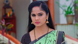 Care of Anasuya S01E549 Shivani Is Stubborn Full Episode