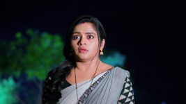 Chelleli Kaapuram S01E577 Bhoomi Unfolds the Truth Full Episode