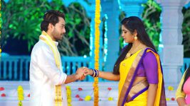 Chelleli Kaapuram S01E586 Aakash and Bhoomi's Reunion Full Episode