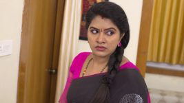 Chitti Talli S01E146 Shakuntala Loses Her Cool Full Episode