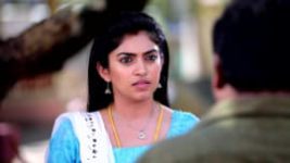 Deivam Thantha Poove S01E111 20th April 2022 Full Episode