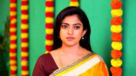 Deivam Thantha Poove S01E114 23rd April 2022 Full Episode