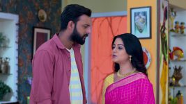 Dhulokona S01 E478 Lalon to Stay with Titir?
