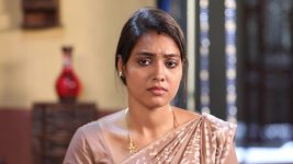 Eeramaana Rojaave S01E659 Malar Is Devastated Full Episode