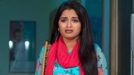 Janaki Kalaganaledu S01E12 Janaki in Deep Sorrow Full Episode