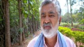 Janumada Jodi S01E217 25th May 2017 Full Episode