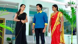 Karthika Deepam S01E1100 Karthik Loses His Cool Full Episode