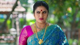 Karthika Deepam S01E1266 Rudrarani Is Doubtful Full Episode