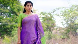 Kasthuri (Star maa) S01E110 Mamtha Learns about Prasad Rao Full Episode