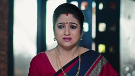 Kasthuri (Star maa) S01E329 Rajini Learns the Truth Full Episode