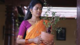 Krishna Tulasi S01E31 29th March 2021 Full Episode