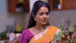 Krishna Tulasi S01E32 30th March 2021 Full Episode