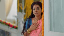 Krishna Tulasi S01E45 14th April 2021 Full Episode