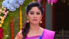 Krishnaveni S01E114 Swarna Insults Sudha Full Episode