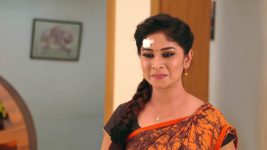 Krishnaveni S01E148 Sudha's Wedding Gets Fixed Full Episode