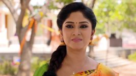 Krishnaveni S01E150 Sudha to Meet Phanindra? Full Episode