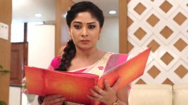 Krishnaveni S01E154 Sudha in Shock Full Episode