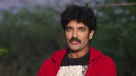 Krishnaveni S01E166 Phanindra Spots Sudha Full Episode
